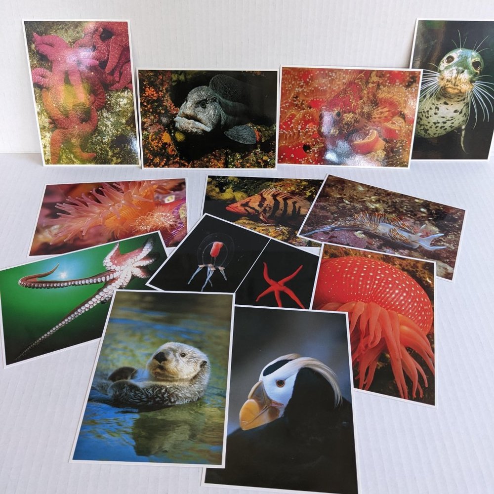 Oregon Coast Aquarium Sea Creature Postcard Bundle